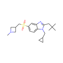 CN1CC(CS(=O)(=O)c2ccc3c(c2)nc(CC(C)(C)C)n3CC2CC2)C1 ZINC000299828796