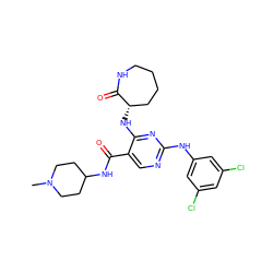 CN1CCC(NC(=O)c2cnc(Nc3cc(Cl)cc(Cl)c3)nc2N[C@H]2CCCCNC2=O)CC1 ZINC000095596619