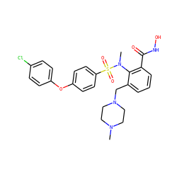 CN1CCN(Cc2cccc(C(=O)NO)c2N(C)S(=O)(=O)c2ccc(Oc3ccc(Cl)cc3)cc2)CC1 ZINC000022450147
