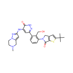 CN1CCn2nc(Nc3cc(-c4cccc(N5Cc6cc(C(C)(C)C)sc6C5=O)c4CO)n[nH]c3=O)cc2C1 ZINC000199977402