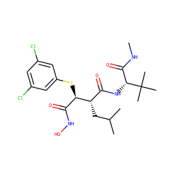 CNC(=O)[C@@H](NC(=O)[C@H](CC(C)C)[C@H](Sc1cc(Cl)cc(Cl)c1)C(=O)NO)C(C)(C)C ZINC000013802336