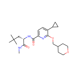 CNC(=O)[C@H](CC(C)(C)C)NC(=O)c1ccc(C2CC2)c(OCC2CCOCC2)n1 ZINC000150140775