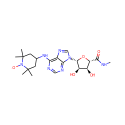 CNC(=O)[C@H]1O[C@@H](n2cnc3c(NC4CC(C)(C)N([O])C(C)(C)C4)ncnc32)[C@H](O)[C@@H]1O ZINC000102023064