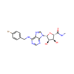 CNC(=O)[C@H]1O[C@@H](n2cnc3c(NCc4ccc(Br)cc4)ncnc32)[C@H](O)[C@@H]1O ZINC000012405567