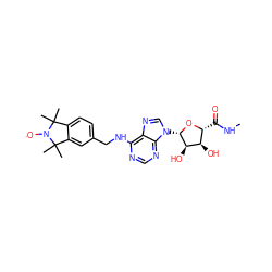 CNC(=O)[C@H]1O[C@@H](n2cnc3c(NCc4ccc5c(c4)C(C)(C)N([O])C5(C)C)ncnc32)[C@H](O)[C@@H]1O ZINC000102022653