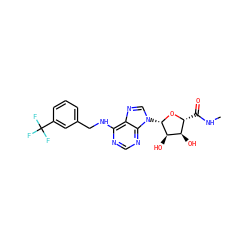 CNC(=O)[C@H]1O[C@@H](n2cnc3c(NCc4cccc(C(F)(F)F)c4)ncnc32)[C@H](O)[C@@H]1O ZINC000012405565