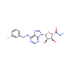 CNC(=O)[C@H]1O[C@@H](n2cnc3c(NCc4cccc(Cl)c4)ncnc32)[C@H](O)[C@@H]1O ZINC000012405559