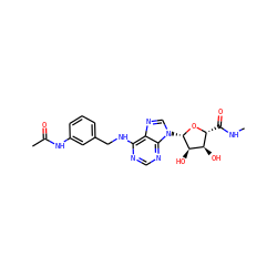 CNC(=O)[C@H]1O[C@@H](n2cnc3c(NCc4cccc(NC(C)=O)c4)ncnc32)[C@H](O)[C@@H]1O ZINC000012405563