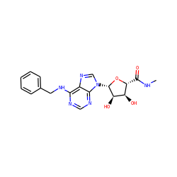 CNC(=O)[C@H]1O[C@@H](n2cnc3c(NCc4ccccc4)ncnc32)[C@H](O)[C@@H]1O ZINC000005605290