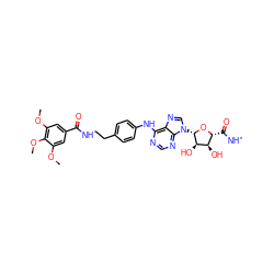 CNC(=O)[C@H]1O[C@@H](n2cnc3c(Nc4ccc(CCNC(=O)c5cc(OC)c(OC)c(OC)c5)cc4)ncnc32)[C@H](O)[C@@H]1O ZINC000049777807