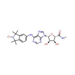 CNC(=O)[C@H]1O[C@@H](n2cnc3c(Nc4ccc5c(c4)C(C)(C)N([O])C5(C)C)ncnc32)[C@H](O)[C@@H]1O ZINC000102064351