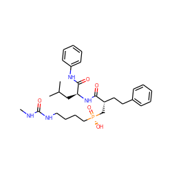 CNC(=O)NCCCC[P@](=O)(O)C[C@@H](CCc1ccccc1)C(=O)N[C@@H](CC(C)C)C(=O)Nc1ccccc1 ZINC000026974457