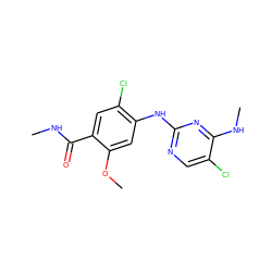 CNC(=O)c1cc(Cl)c(Nc2ncc(Cl)c(NC)n2)cc1OC ZINC000169705088