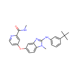 CNC(=O)c1cc(Oc2ccc3c(c2)nc(Nc2cccc(C(C)(C)C)c2)n3C)ccn1 ZINC000040895399