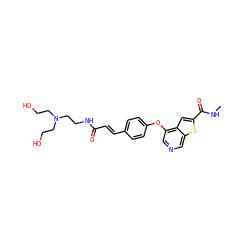 CNC(=O)c1cc2c(Oc3ccc(/C=C/C(=O)NCCN(CCO)CCO)cc3)cncc2s1 ZINC000013864434