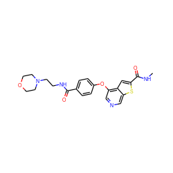 CNC(=O)c1cc2c(Oc3ccc(C(=O)NCCN4CCOCC4)cc3)cncc2s1 ZINC000013864439