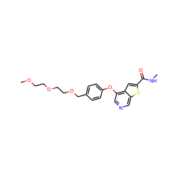 CNC(=O)c1cc2c(Oc3ccc(COCCOCCOC)cc3)cncc2s1 ZINC000013864453