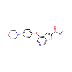 CNC(=O)c1cc2c(Oc3ccc(N4CCOCC4)cc3)cncc2s1 ZINC000013864411