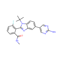 CNC(=O)c1cccc(F)c1-c1nc2cc(-c3cnc(N)nc3)ccc2n1C(C)(C)C ZINC000143821103