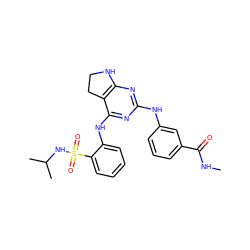 CNC(=O)c1cccc(Nc2nc3c(c(Nc4ccccc4S(=O)(=O)NC(C)C)n2)CCN3)c1 ZINC000221689284