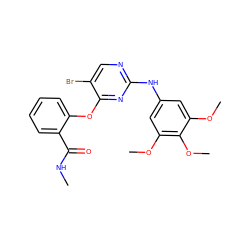 CNC(=O)c1ccccc1Oc1nc(Nc2cc(OC)c(OC)c(OC)c2)ncc1Br ZINC000253387916