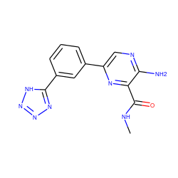 CNC(=O)c1nc(-c2cccc(-c3nnn[nH]3)c2)cnc1N ZINC000038602583