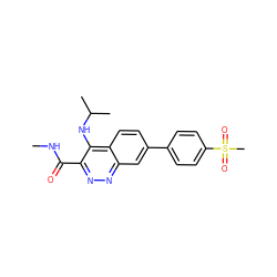 CNC(=O)c1nnc2cc(-c3ccc(S(C)(=O)=O)cc3)ccc2c1NC(C)C ZINC000095592180