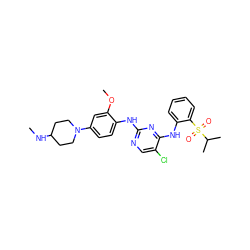 CNC1CCN(c2ccc(Nc3ncc(Cl)c(Nc4ccccc4S(=O)(=O)C(C)C)n3)c(OC)c2)CC1 ZINC000049695543