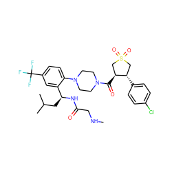 CNCC(=O)N[C@@H](CC(C)C)c1cc(C(F)(F)F)ccc1N1CCN(C(=O)[C@H]2CS(=O)(=O)C[C@@H]2c2ccc(Cl)cc2)CC1 ZINC000029039318