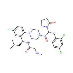 CNCC(=O)N[C@@H](CC(C)C)c1cc(F)ccc1N1CCN(C(=O)[C@@H](Cc2ccc(Cl)cc2Cl)N2CCCC2=O)CC1 ZINC000028823918