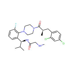 CNCC(=O)N[C@H](c1cccc(F)c1N1CCN(C(=O)[C@H](C)Cc2ccc(Cl)cc2Cl)CC1)C(C)C ZINC000042890691