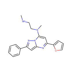 CNCCN(C)c1cc(-c2ccco2)nc2cc(-c3ccccc3)nn12 ZINC000095567528