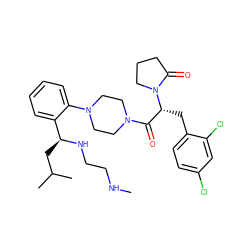 CNCCN[C@@H](CC(C)C)c1ccccc1N1CCN(C(=O)[C@@H](Cc2ccc(Cl)cc2Cl)N2CCCC2=O)CC1 ZINC000028823901