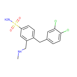 CNCc1cc(S(N)(=O)=O)ccc1Cc1ccc(Cl)c(Cl)c1 ZINC000040935205