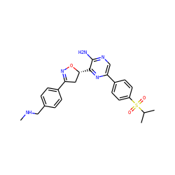 CNCc1ccc(C2=NO[C@H](c3nc(-c4ccc(S(=O)(=O)C(C)C)cc4)cnc3N)C2)cc1 ZINC000096273299