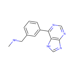 CNCc1cccc(-c2ncnc3nc[nH]c23)c1 ZINC000014961010