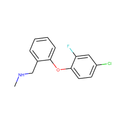 CNCc1ccccc1Oc1ccc(Cl)cc1F ZINC000029129738