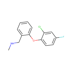 CNCc1ccccc1Oc1ccc(F)cc1Cl ZINC000029129745