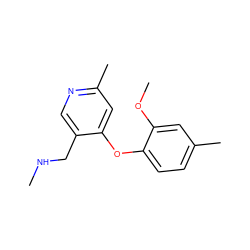 CNCc1cnc(C)cc1Oc1ccc(C)cc1OC ZINC000029048213