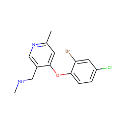 CNCc1cnc(C)cc1Oc1ccc(Cl)cc1Br ZINC000029046194