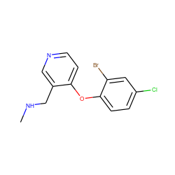 CNCc1cnccc1Oc1ccc(Cl)cc1Br ZINC000029046202