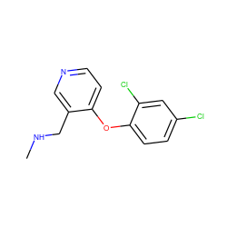 CNCc1cnccc1Oc1ccc(Cl)cc1Cl ZINC000029048205