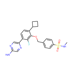 CNS(=O)(=O)c1ccc(COc2c(C3CCC3)ccc(-c3cnc(N)cn3)c2F)cc1 ZINC000212178870