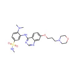 CNS(=O)(=O)c1ccc(N(C)C)c(Nc2ncnc3cc(OCCCN4CCOCC4)ccc23)c1 ZINC000117167317