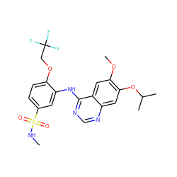 CNS(=O)(=O)c1ccc(OCC(F)(F)F)c(Nc2ncnc3cc(OC(C)C)c(OC)cc23)c1 ZINC000166018003