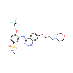 CNS(=O)(=O)c1ccc(OCC(F)(F)F)c(Nc2ncnc3cc(OCCCN4CCOCC4)ccc23)c1 ZINC000117183224