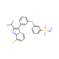 CNS(=O)(=O)c1cccc(Oc2cccc(-c3c(C(C)C)nc4c(Cl)cccn34)c2)c1 ZINC000045349647