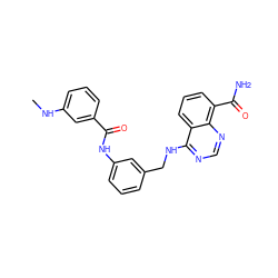 CNc1cccc(C(=O)Nc2cccc(CNc3ncnc4c(C(N)=O)cccc34)c2)c1 ZINC000114346858