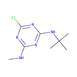 CNc1nc(Cl)nc(NC(C)(C)C)n1 ZINC000000184551