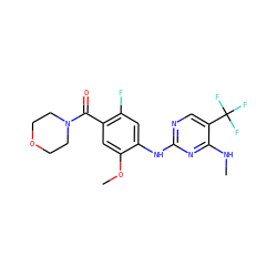 CNc1nc(Nc2cc(F)c(C(=O)N3CCOCC3)cc2OC)ncc1C(F)(F)F ZINC000095574429